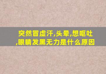 突然冒虚汗,头晕,想呕吐,眼睛发黑无力是什么原因