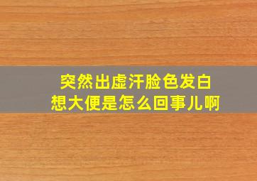 突然出虚汗脸色发白想大便是怎么回事儿啊