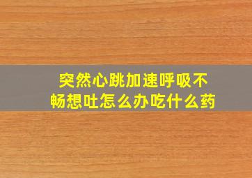 突然心跳加速呼吸不畅想吐怎么办吃什么药