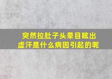 突然拉肚子头晕目眩出虚汗是什么病因引起的呢