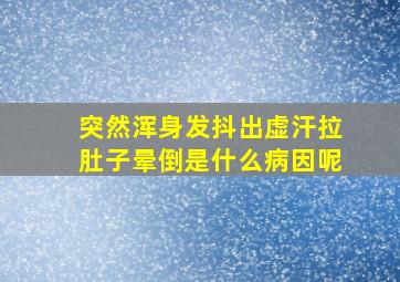 突然浑身发抖出虚汗拉肚子晕倒是什么病因呢