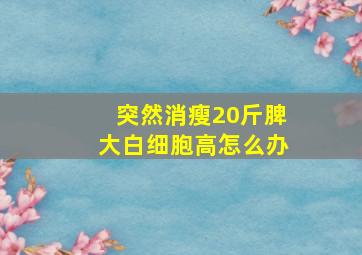 突然消瘦20斤脾大白细胞高怎么办