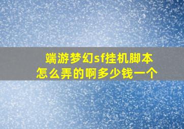 端游梦幻sf挂机脚本怎么弄的啊多少钱一个