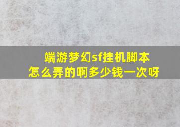 端游梦幻sf挂机脚本怎么弄的啊多少钱一次呀