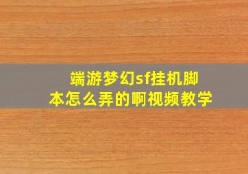 端游梦幻sf挂机脚本怎么弄的啊视频教学