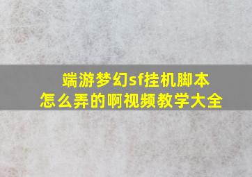 端游梦幻sf挂机脚本怎么弄的啊视频教学大全