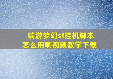 端游梦幻sf挂机脚本怎么用啊视频教学下载