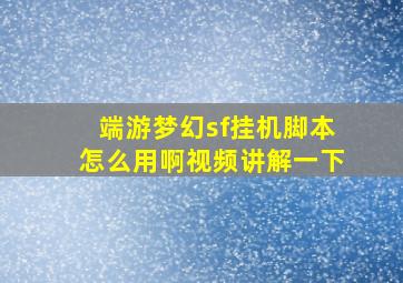 端游梦幻sf挂机脚本怎么用啊视频讲解一下