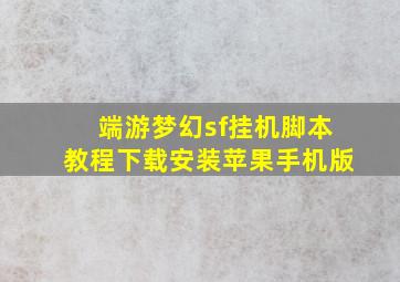 端游梦幻sf挂机脚本教程下载安装苹果手机版