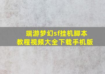 端游梦幻sf挂机脚本教程视频大全下载手机版