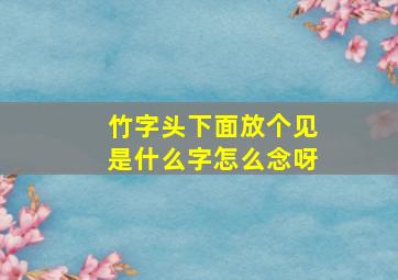 竹字头下面放个见是什么字怎么念呀