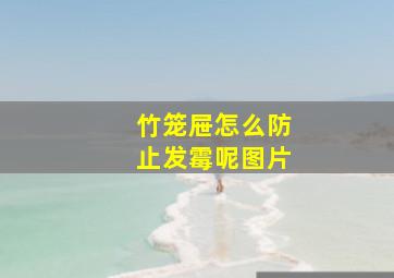 竹笼屉怎么防止发霉呢图片