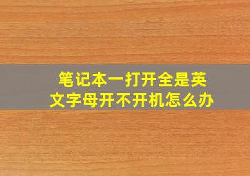 笔记本一打开全是英文字母开不开机怎么办