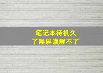 笔记本待机久了黑屏唤醒不了