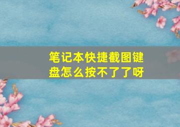 笔记本快捷截图键盘怎么按不了了呀