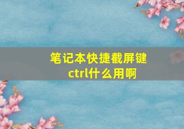 笔记本快捷截屏键ctrl什么用啊