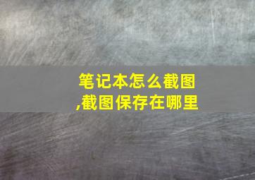 笔记本怎么截图,截图保存在哪里