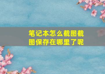 笔记本怎么截图截图保存在哪里了呢