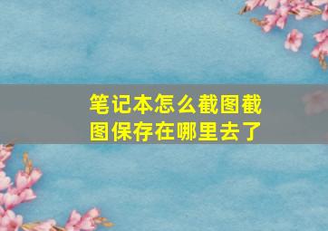 笔记本怎么截图截图保存在哪里去了