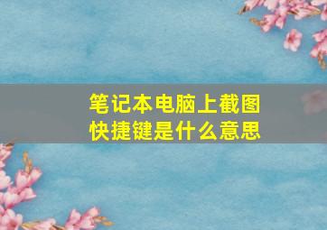 笔记本电脑上截图快捷键是什么意思