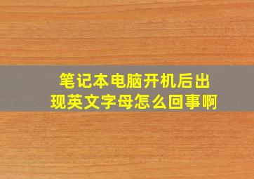 笔记本电脑开机后出现英文字母怎么回事啊