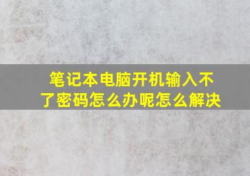 笔记本电脑开机输入不了密码怎么办呢怎么解决