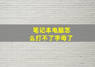 笔记本电脑怎么打不了字母了