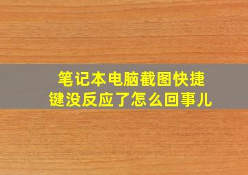 笔记本电脑截图快捷键没反应了怎么回事儿