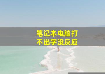 笔记本电脑打不出字没反应