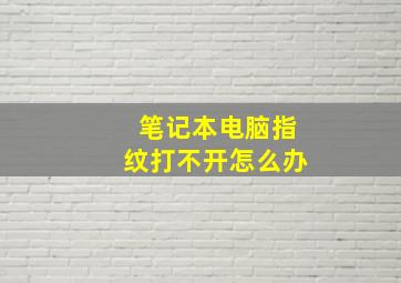 笔记本电脑指纹打不开怎么办