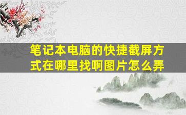 笔记本电脑的快捷截屏方式在哪里找啊图片怎么弄