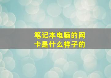 笔记本电脑的网卡是什么样子的