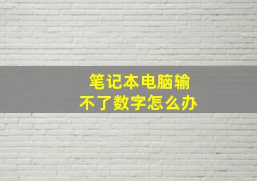 笔记本电脑输不了数字怎么办