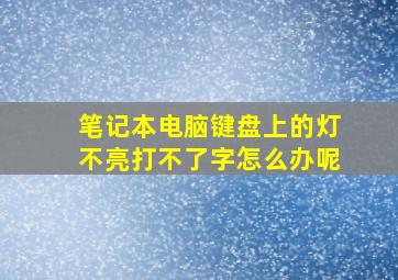 笔记本电脑键盘上的灯不亮打不了字怎么办呢