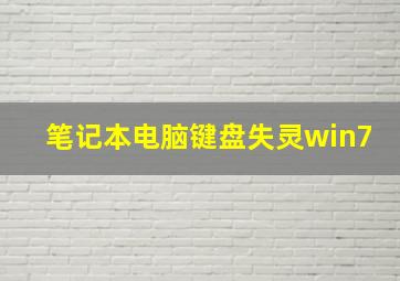 笔记本电脑键盘失灵win7