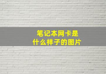 笔记本网卡是什么样子的图片