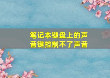 笔记本键盘上的声音键控制不了声音