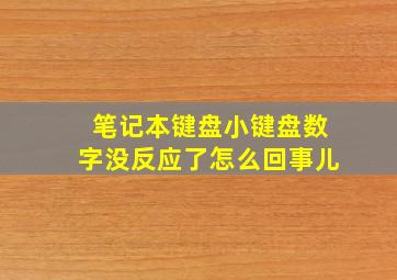 笔记本键盘小键盘数字没反应了怎么回事儿