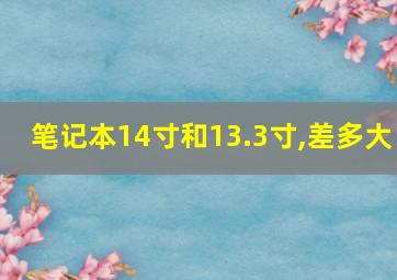 笔记本14寸和13.3寸,差多大