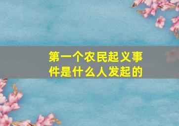 第一个农民起义事件是什么人发起的