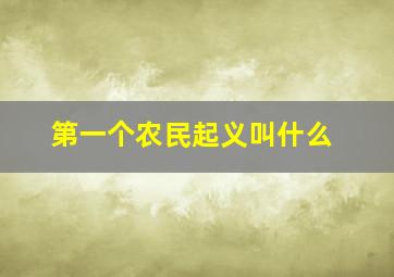 第一个农民起义叫什么