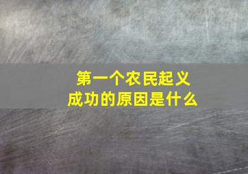 第一个农民起义成功的原因是什么