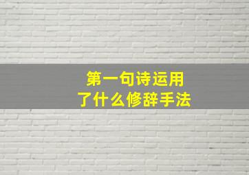 第一句诗运用了什么修辞手法