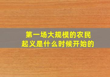 第一场大规模的农民起义是什么时候开始的