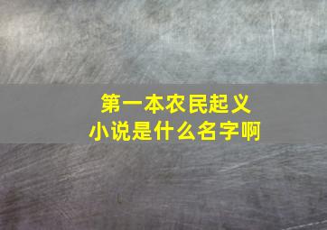 第一本农民起义小说是什么名字啊