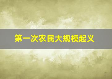 第一次农民大规模起义