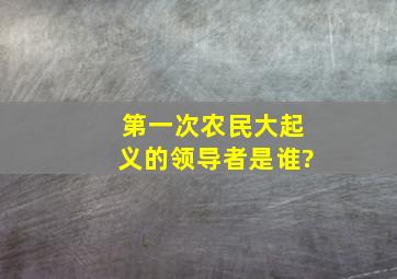 第一次农民大起义的领导者是谁?