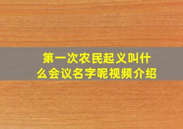 第一次农民起义叫什么会议名字呢视频介绍