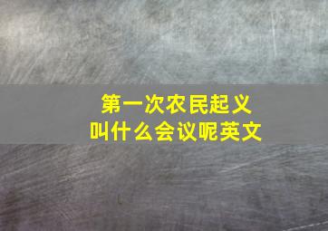 第一次农民起义叫什么会议呢英文