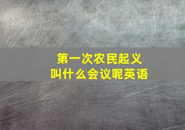 第一次农民起义叫什么会议呢英语